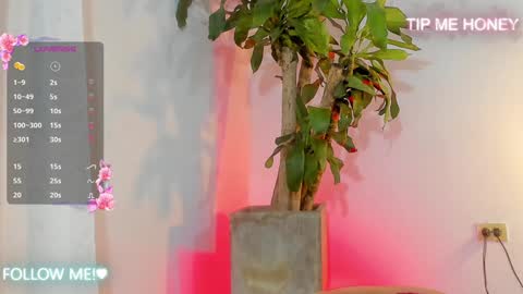 Juan Miguel online show from 02-05-25, 09:46