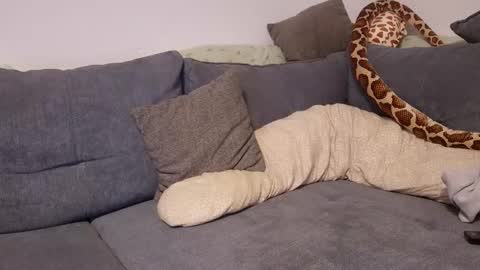 Snapshot of julia_official chatting on 11-11-25, 10:21 julia_official online show from 11-11-25, 10:21