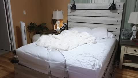 Texas Mamasita online show from 12-23-25, 03:04