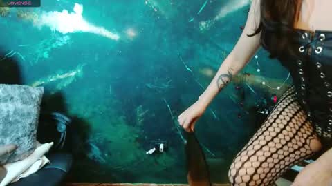    online show from 11-19-25, 05:18