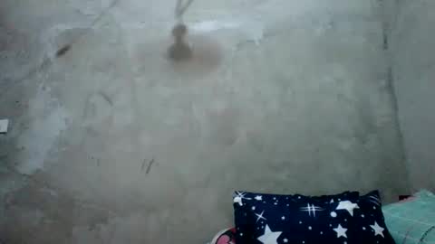 juliett online show from 02-27-26, 06:57