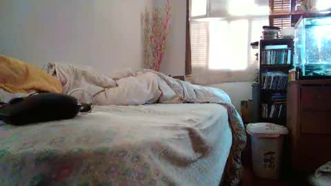 Snapshot of jumpingflash chatting on 12-02-24, 04:20 jumpingflash online show from 12-02-24, 04:20