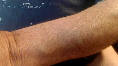 Snapshot of junjor67 chatting on 02-16-25, 04:53 Werner online show from 02-16-25, 04:53