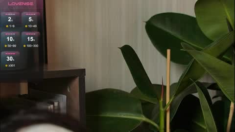 just_dakota_ online show from 03-31-26, 07:53