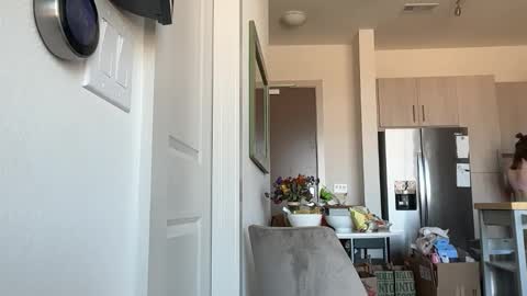 Snapshot of justababydoll chatting on 02-12-26, 09:43 Stella online show from 02-12-26, 09:43