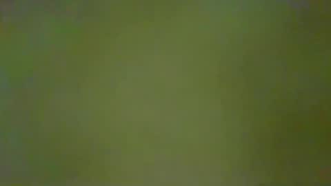 McKeefer online show from 01-18-26, 05:28