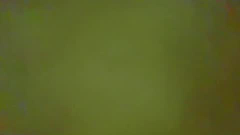 McKeefer online show from 02-25-26, 02:37