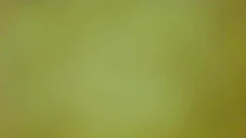 McKeefer online show from 03-28-26, 07:35