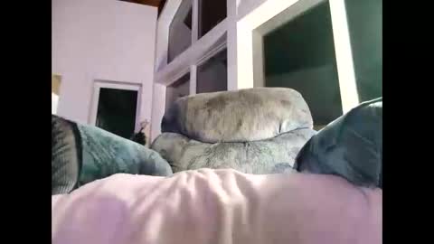 Gil indpendant model exhibitionnist online show from 01-08-25, 01:53