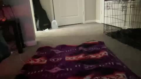 Snapshot of justincase5280 chatting on 03-14-26, 10:42 JustinCase online show from 03-14-26, 10:42