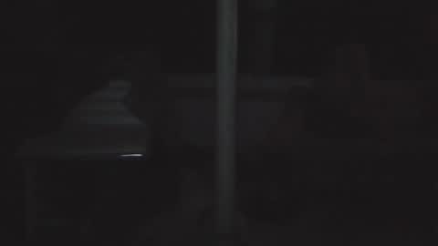 HoneyXSugar online show from 09-10-25, 08:14