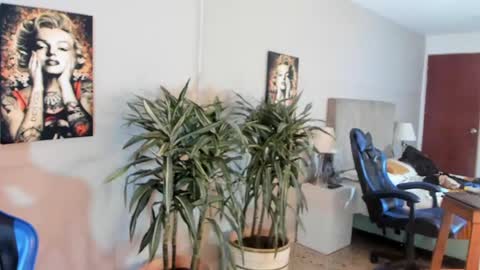 kai_storn online show from 04-29-26, 05:30