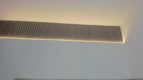 Snapshot of kaliopeh chatting on 11-19-25, 12:05 Carolina online show from 11-19-25, 12:05