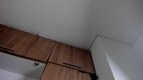 karina_aurora online show from 01-11-26, 04:28