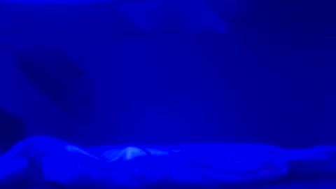 Karla Gonzaless online show from 11-02-25, 06:49