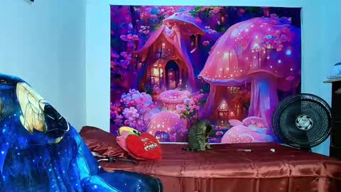    online show from 11-10-25, 10:14