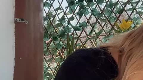 karoline121 online show from 03-17-26, 09:12