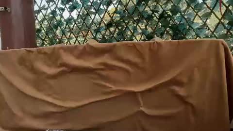 karoline121 online show from 07-20-26, 10:39