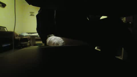 Stojko online show from 10-18-25, 08:09