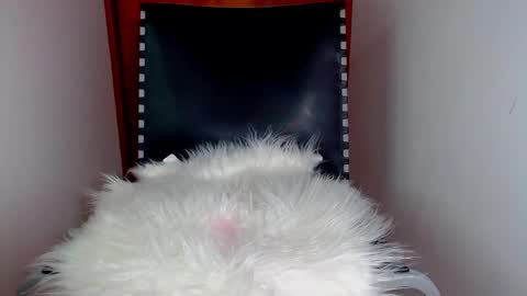 Snapshot of katalinaferreirax chatting on 12-17-24, 08:54 katalinaferreirax online show from 12-17-24, 08:54