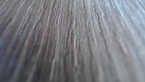 Katalleya online show from 12-15-24, 09:56