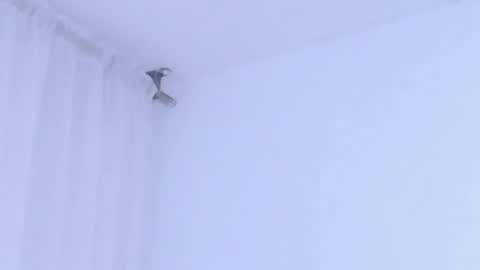 Help me with rate thanks  online show from 01-08-26, 02:58