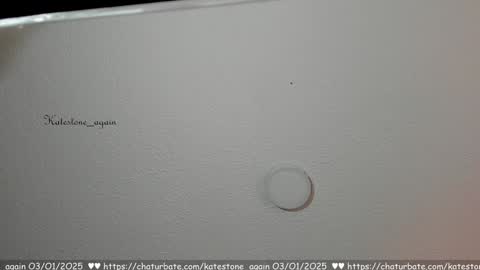 Snapshot of katestone_again chatting on 01-03-25, 02:51 love meeee online show from 01-03-25, 02:51
