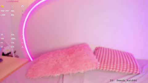 Katy  IGPeach kat666 online show from 12-30-24, 03:57