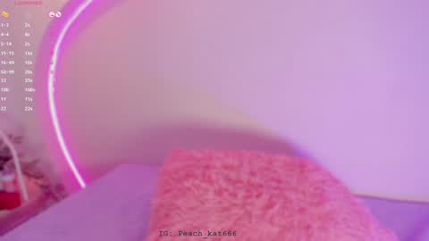 Katy  IGPeach kat666 online show from 01-07-25, 04:48