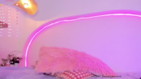 Katy  IGPeach kat666 online show from 01-09-25, 04:39