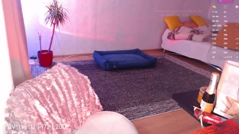 pvt open online show from 12-25-24, 03:18