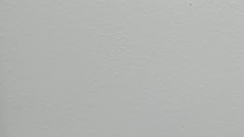 Snapshot of katy_and_paola chatting on 09-24-25, 07:28 katy blonde girl and paola big boobs online show from 09-24-25, 07:28