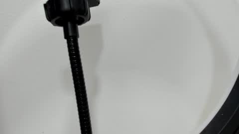 Snapshot of katy_and_paola chatting on 09-26-25, 07:29 katy blonde girl and paola big boobs online show from 09-26-25, 07:29