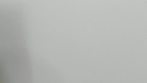 Snapshot of katy_and_paola chatting on 10-28-25, 07:49 katy blonde girl and paola big boobs online show from 10-28-25, 07:49