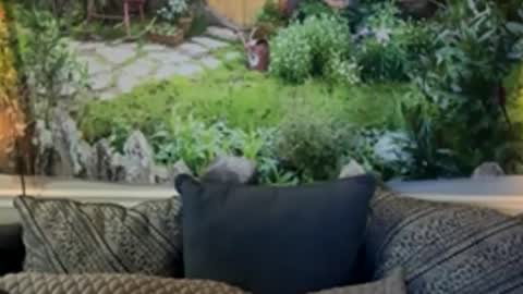 Snapshot of katy_chris chatting on 06-04-26, 06:19 katy_chris online show from 06-04-26, 06:19