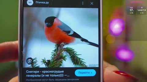 Snapshot of katy_ethereal chatting on 02-21-25, 02:39 Katy - online show from 02-21-25, 02:39