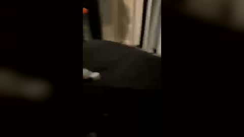 Sweet Slut online show from 06-30-26, 09:54