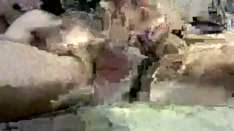 kazzarsouth online show from 03-05-25, 02:12