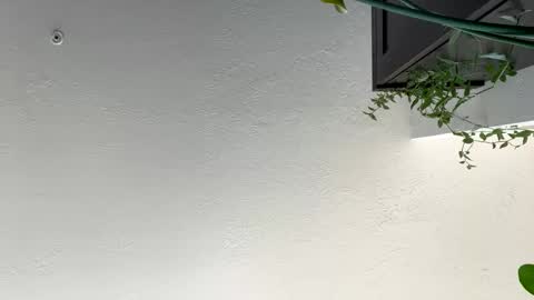 Snapshot of keepquietj chatting on 01-17-25, 07:38 keepquietj online show from 01-17-25, 07:38