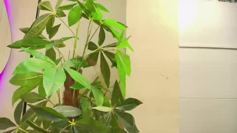 keila online show from 10-01-25, 12:00