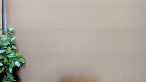 keisy_sanchez online show from 02-01-26, 11:09