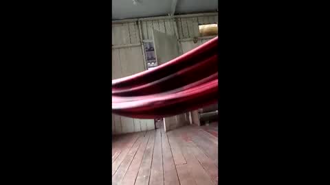 kelpejonh online show from 03-17-26, 05:05