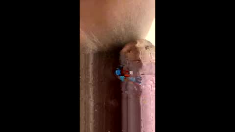 kenya803 online show from 10-23-25, 11:20