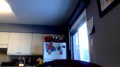 killbloodclotbill online show from 02-01-26, 06:06