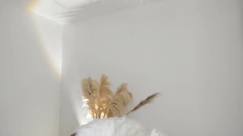 Snapshot of kim_murphy chatting on 10-18-25, 12:28 Kim Murphy online show from 10-18-25, 12:28