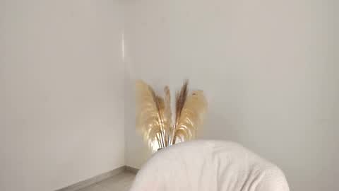 Snapshot of kim_murphy chatting on 10-24-25, 01:51 Kim Murphy online show from 10-24-25, 01:51