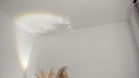 Snapshot of kim_murphy chatting on 02-19-26, 11:28 Kim Murphy online show from 02-19-26, 11:28