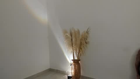 Snapshot of kim_murphy chatting on 02-27-26, 11:54 Kim Murphy online show from 02-27-26, 11:54