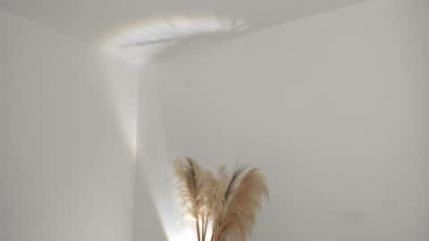 Snapshot of kim_murphy chatting on 04-01-26, 11:11 Kim Murphy online show from 04-01-26, 11:11