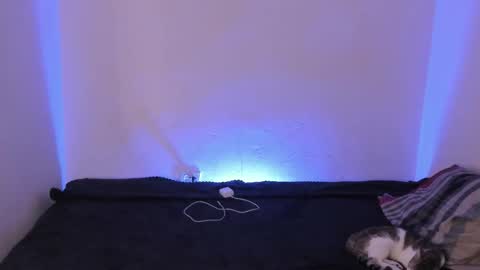 Snapshot of kimblair_ chatting on 12-16-25, 09:47 Kim online show from 12-16-25, 09:47